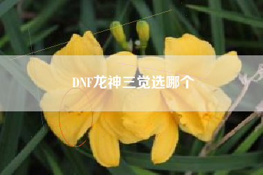 DNF龙神三觉选哪个