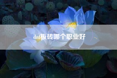 dnf板砖哪个职业好