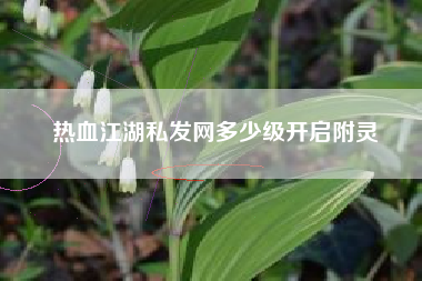 热血江湖私发网多少级开启附灵