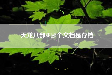 天龙八部SF哪个文档是存档