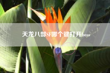 天龙八部SF哪个键打开boss