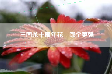 三国杀十周年花鬘哪个更强