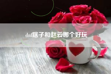 dnf瞎子和赵云哪个好玩