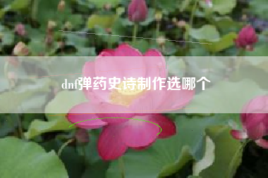 dnf弹药史诗制作选哪个