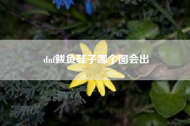 dnf鲅鱼鞋子哪个图会出