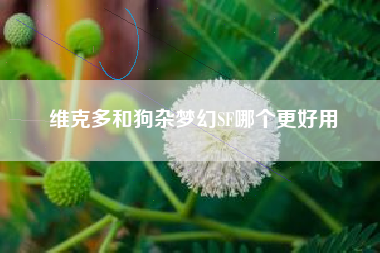 维克多和狗杂梦幻SF哪个更好用