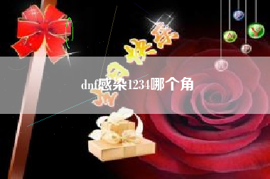 dnf感染1234哪个角