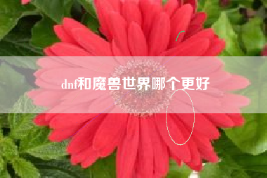 dnf和魔兽世界哪个更好