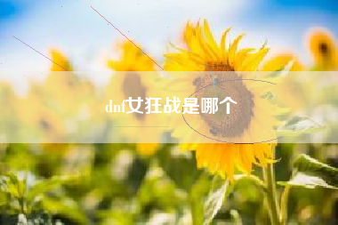 dnf女狂战是哪个