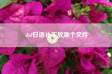 dnf日语补丁放哪个文件