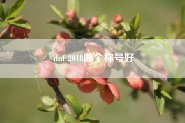 dnf 2018哪个称号好