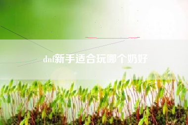 dnf新手适合玩哪个奶好