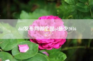 dnf发布网哪个图pl最少2016